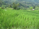 13726IMG_3987.JPG