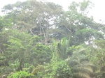 48618CIMG4955.JPG