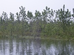 626R0015134.jpg
