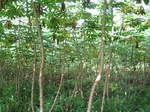 13953IMG_4244.JPG