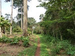 46250CIMG0539.JPG