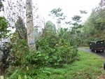 30877CIMG0731.JPG