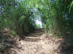 1776124042008(21).JPG