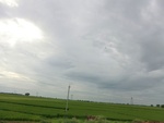 55947CIMG6677.JPG