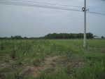 34459IMG_5442.JPG
