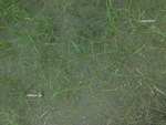 34566RIMG0032.JPG