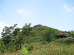 15847IMG_4388.JPG