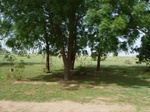 19109P1000954.JPG