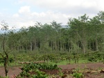 31134CIMG0996.JPG