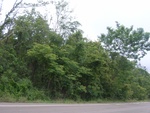34564RIMG0030.JPG