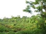 15947IMG_4498.JPG