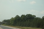 2024-10-10_16-56-10_87237116-1B73-4CA9-8B2D-8172E5EFF912.jpeg