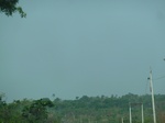 51506P1000665.JPG