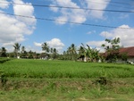 31189CIMG1051.JPG