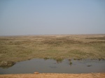 8570IMG_0395.JPG