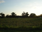 32594p238.jpg