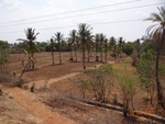 51809Tank ID 1800125 Chikkanahalli 1.JPG