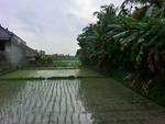 30686CIMG0502.JPG