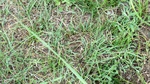 34085CIMG2293.JPG
