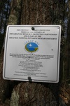 358IMG_3467.JPG