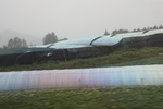 2024-08-05_13-51-11_453EF815-9DEB-4624-9544-7E2083E5696B.jpeg