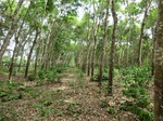 50576CIMG1205.JPG