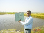 6667gt119-wetland-cropland-2.jpg