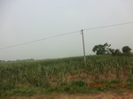 32971CIMG2119.JPG