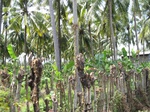 14346IMG_4687.JPG