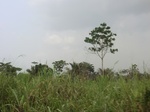 49981CIMG6318.JPG