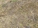18641P1000479.JPG