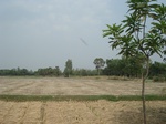 21887DSC08482.JPG