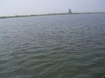 1299R0015099_small.jpg