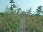 51509P1000670.JPG