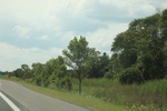 2024-10-10_17-12-13_4ADA82C6-23E3-46ED-8F1B-8ED33A26412E.jpeg