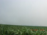 32767CIMG1899.JPG