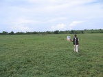 1043419-lakebed-grasses-herbs-iucnb.gif