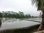 30751CIMG0591.JPG