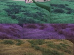 11509035-fallow-farm-b.jpg