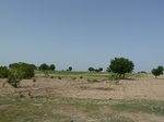 19154P1000999.JPG