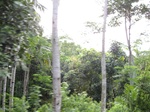 14707IMG_5089.JPG
