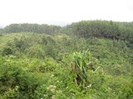 15278IMG_4109.JPG