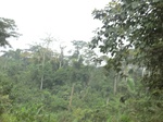 48956CIMG5293.JPG