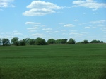 30007CIMG0732.JPG