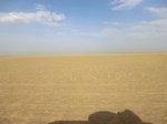 36608CIMG0377.JPG