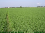 43252007.8.11.st2.JPG