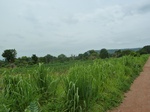 18454P1000290.JPG