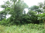 20253P1020108.JPG