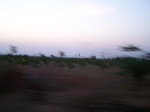 1786826042008(49).JPG