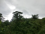 45576CIMG2661.JPG